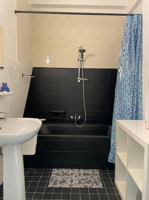 בריסל Spacious Apartment Next To Parc Du Cinquantenaire מראה חיצוני תמונה
