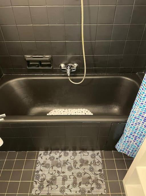 בריסל Spacious Apartment Next To Parc Du Cinquantenaire מראה חיצוני תמונה